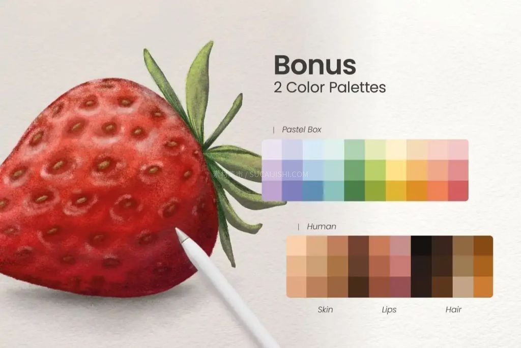 Procreate超写实粉彩粉笔画笔